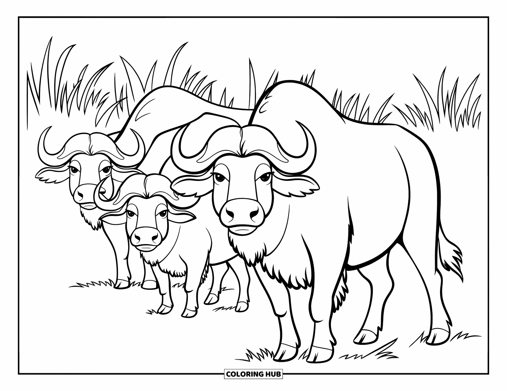 Safari Animal Coloring Page for Kids: Three buffalos standing together in the tall savannah grasses