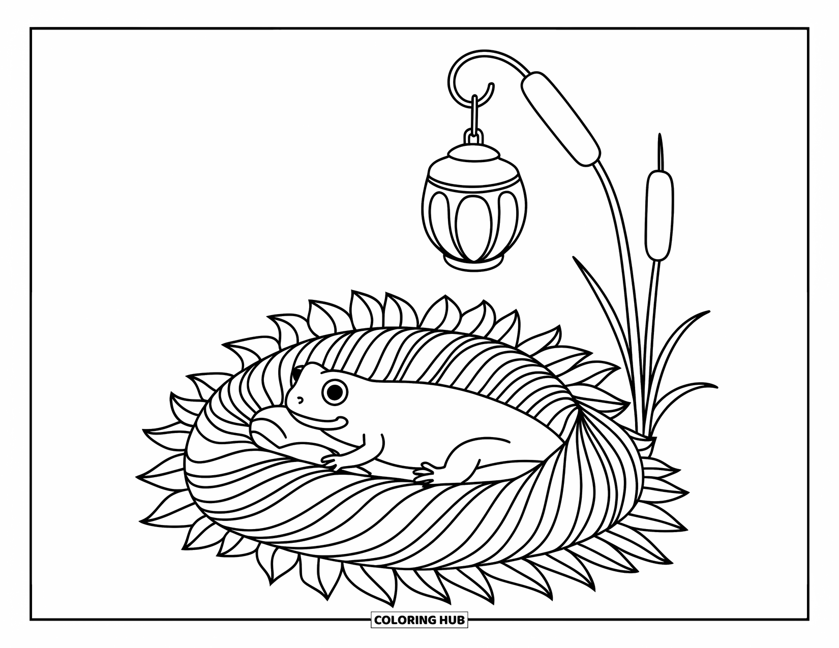 Salamander Coloring Page for Adults: Salamander resting in a leafy nest under a softly glowing lantern