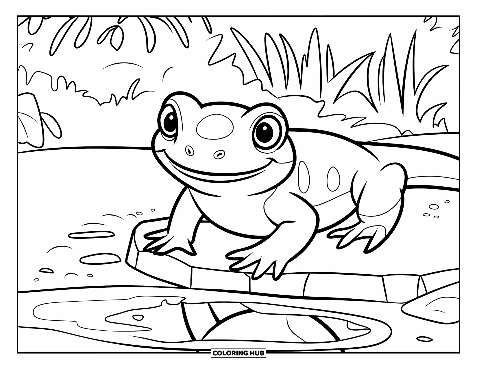 Salamander Coloring Page for Kids: Cheerful salamander on a rock near a puddle with greenery