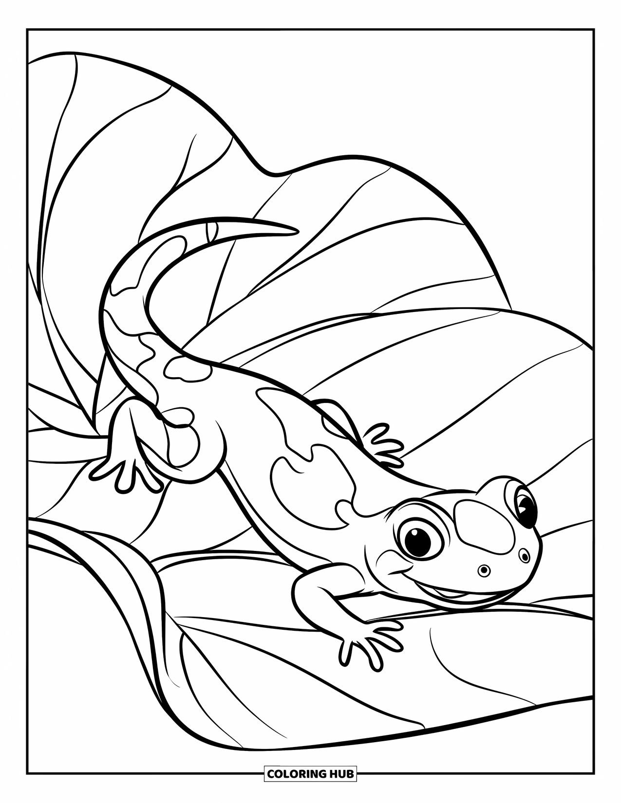 Salamander Coloring Page for Kids: Cheerful salamander on a wavy-edged leaf