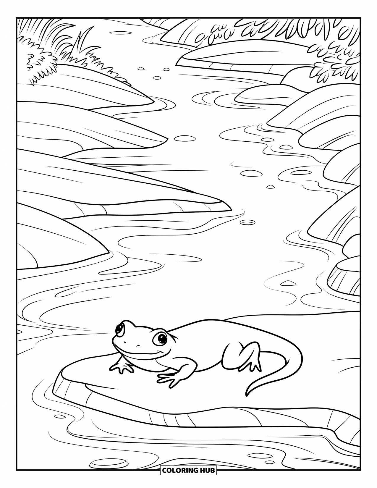 Salamander Coloring Page for Kids: Peaceful salamander on a rock by a clear forest stream