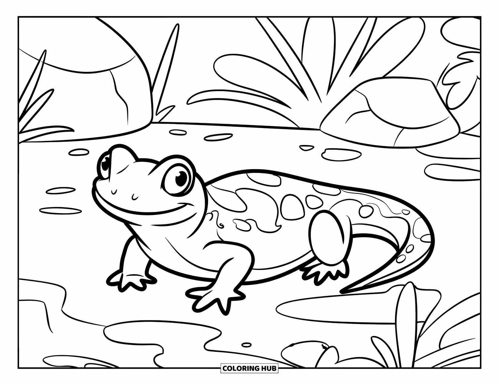 Salamander Coloring Page for Kids: Playful salamander resting near a small puddle with rocks and plants