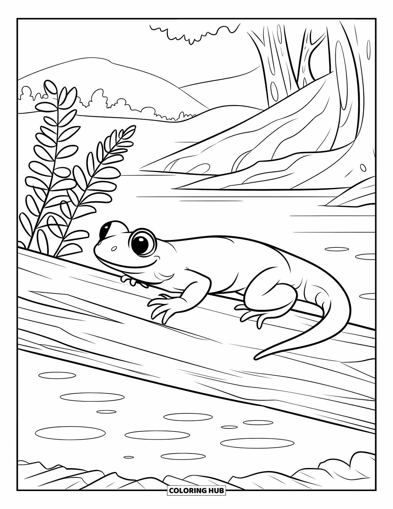 Salamander Coloring Page for Kids: Salamander crawling on a log in water with nearby ferns