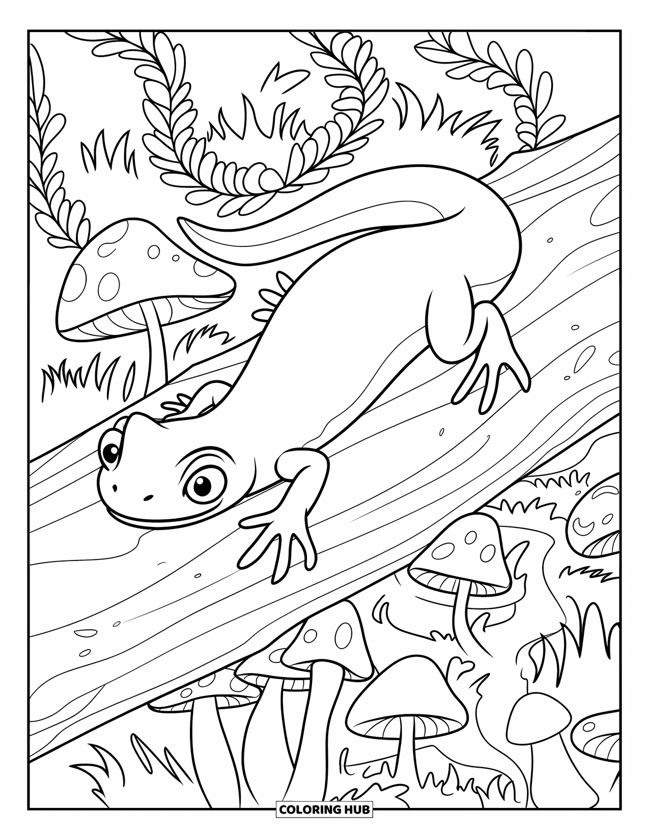 Salamander Coloring Page for Kids: Salamander crawling on a log with mushrooms and curly ferns