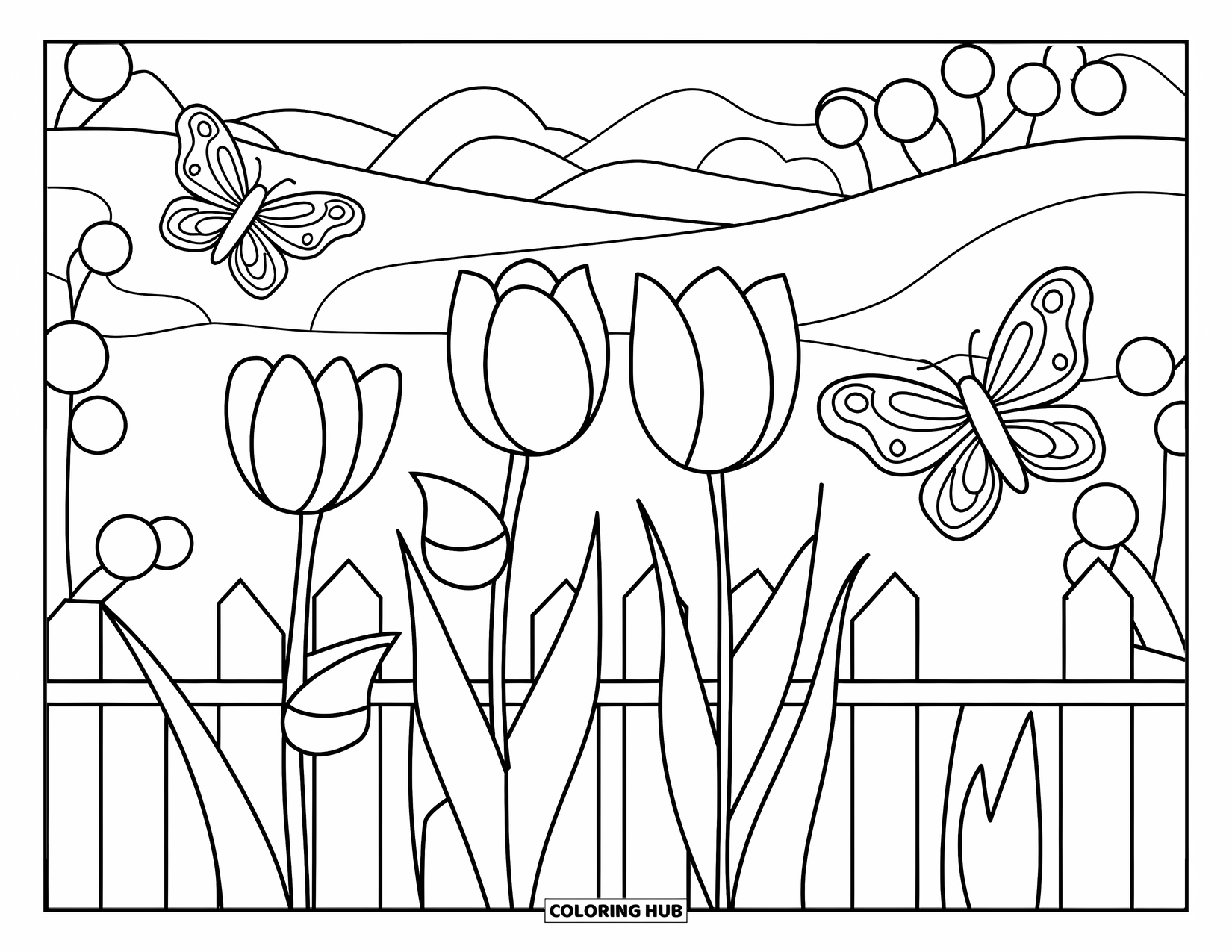 Scenery Coloring Page for Kids: Three tulips and butterflies brighten a playful garden scene with fence and hills