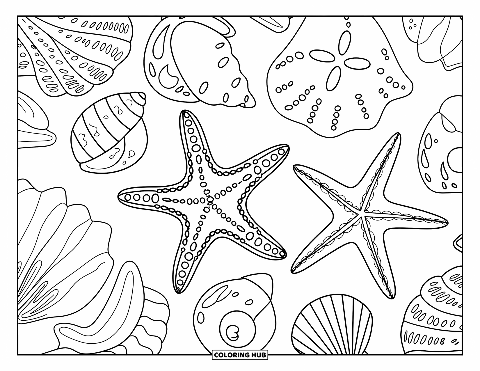 Sea Animal Coloring Page for Adults: A patterned starfish sits among shells and sand dollars in a filled design