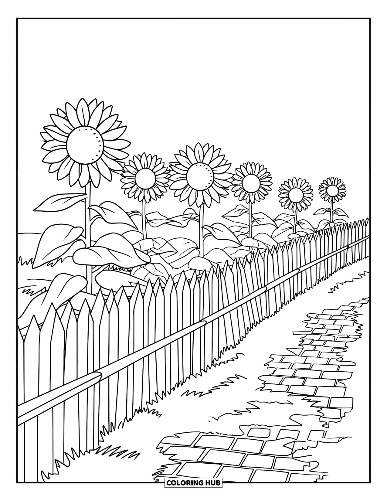 September Coloring Page for Kids: Field of tall sunflowers, a path, and a wooden fence