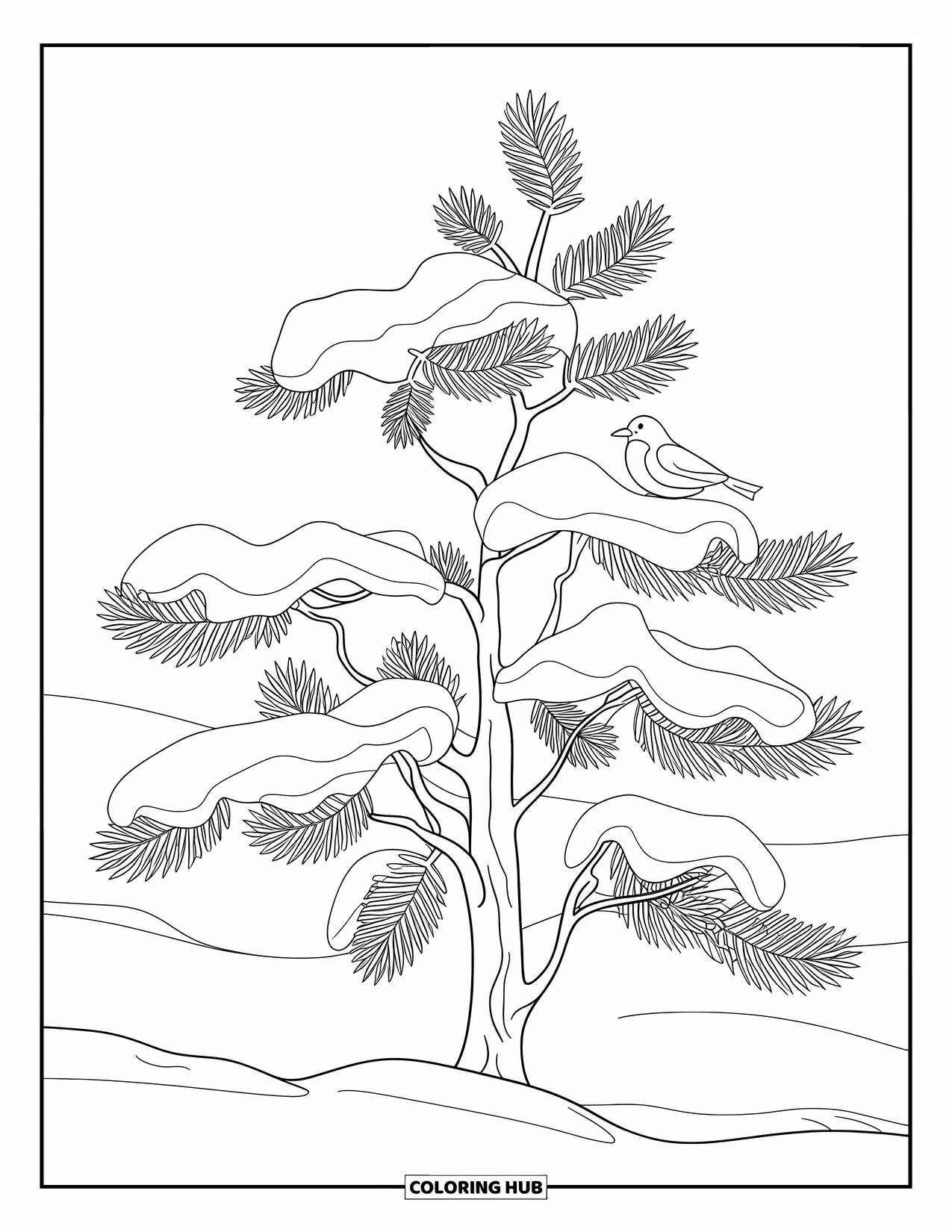 Snow Coloring Page for Kids: A pine tree with snow holds a bird on its branch