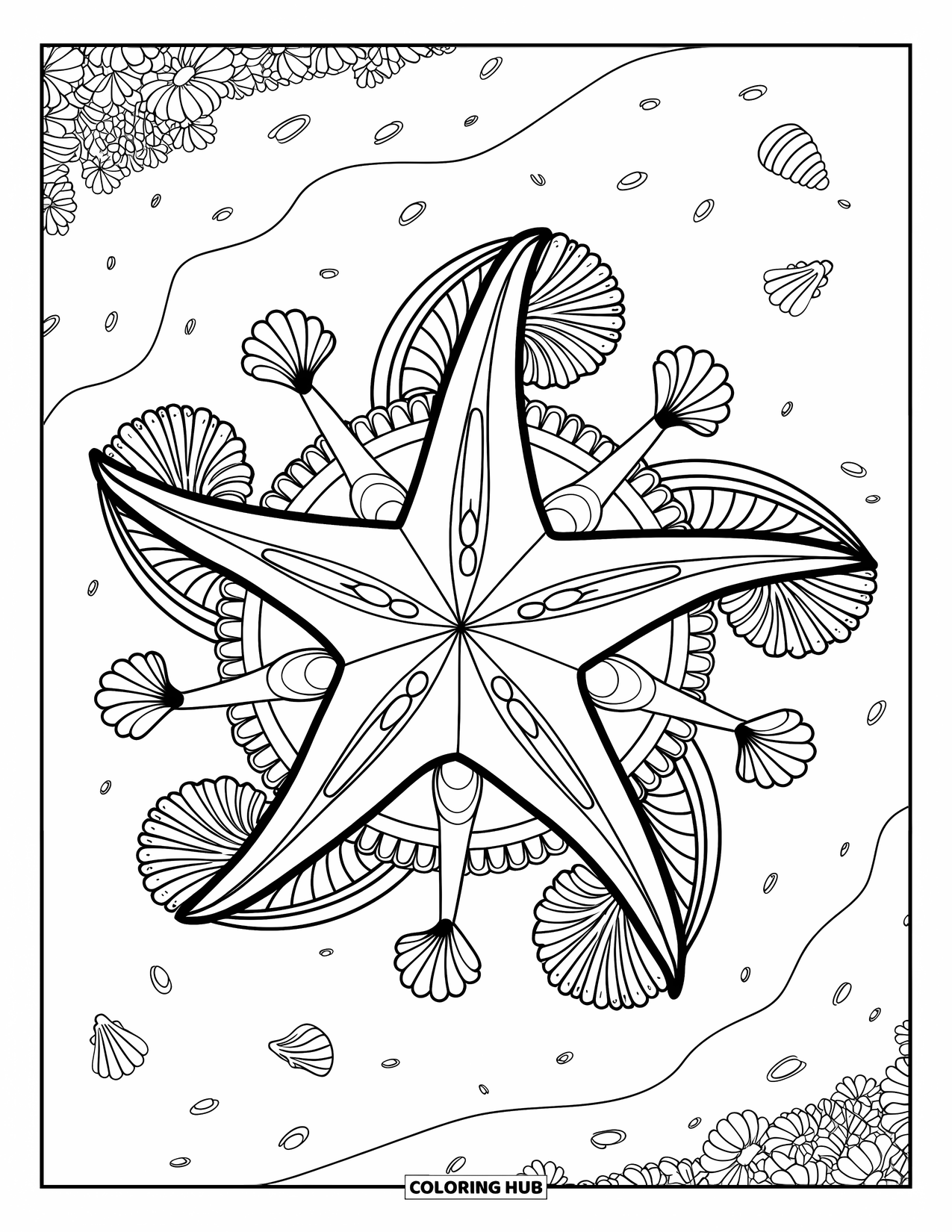 Starfish Coloring Page for Adults: A large starfish is framed by floral mandalas and scattered shells on a beach