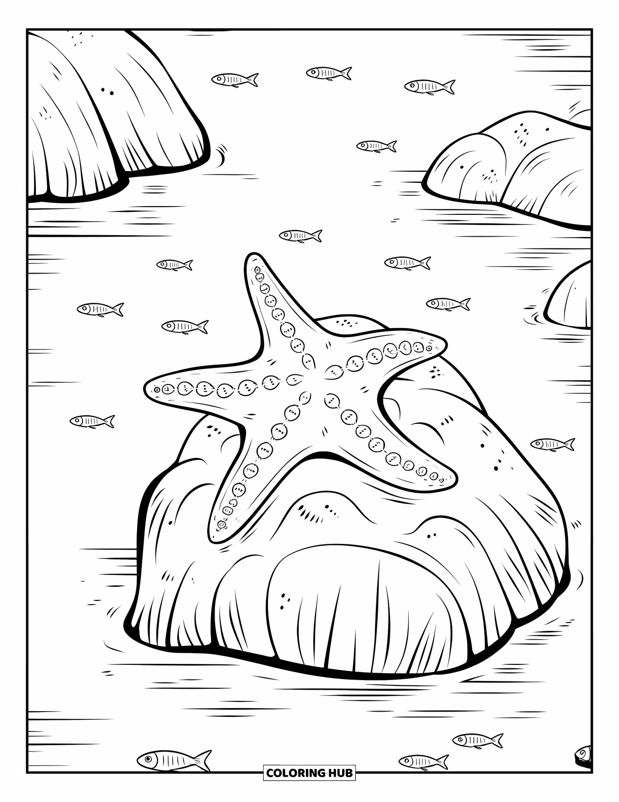 Starfish Coloring Page for Kids: A relaxed starfish on a rocky surface is joined by gentle fish in calm waters