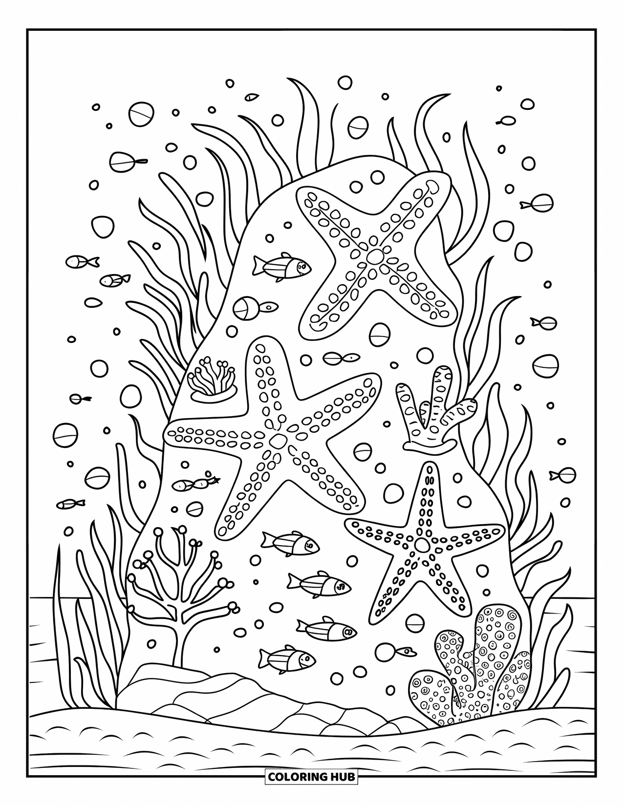 Starfish Coloring Page for Kids: Three starfish explore a coral reef with seaweed and sandy details