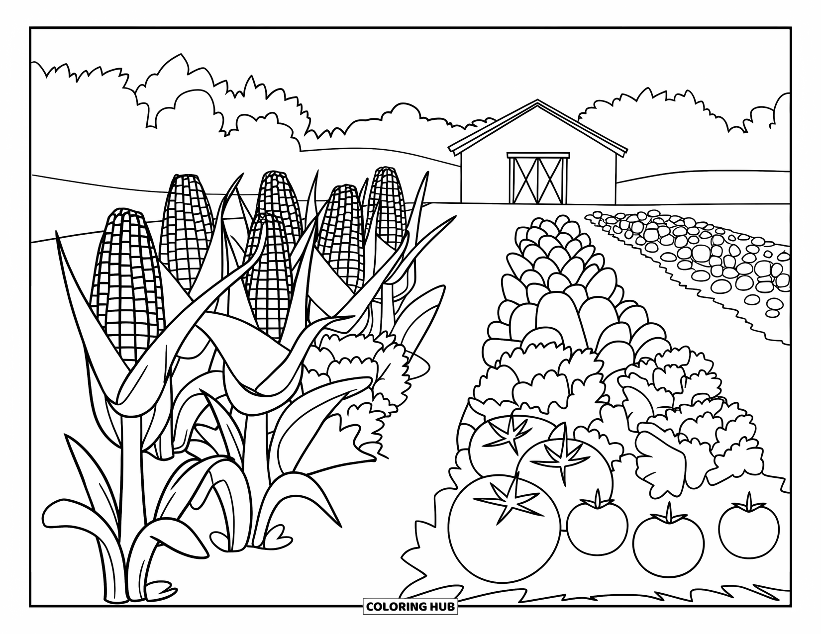 Vegetable Coloring Page for Kids: Vegetables grow neatly in rows beside a barn and trees on a peaceful farm