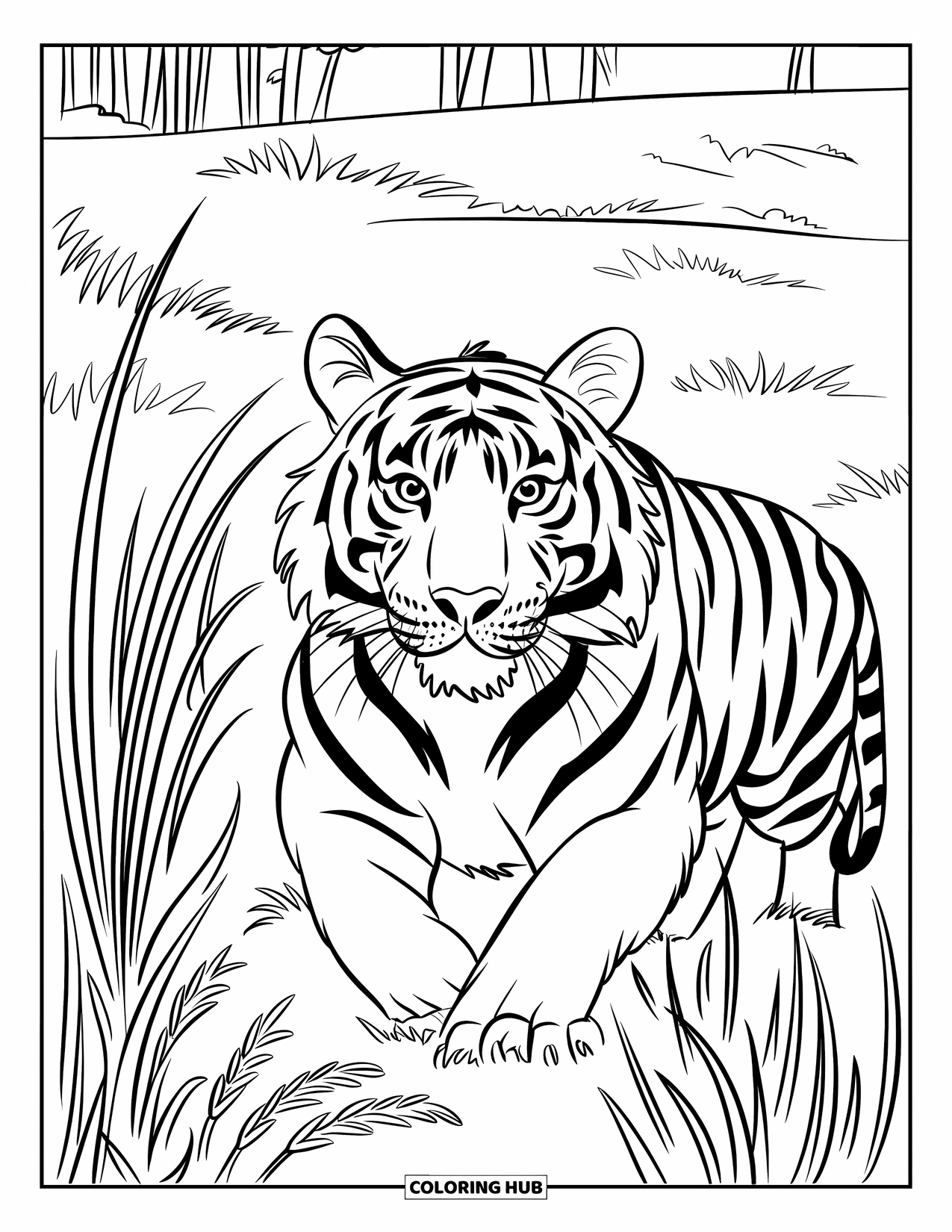 Wild Animal Coloring Page for Kids: A tiger crouches quietly in tall swaying grass with wide eyes and perked ears