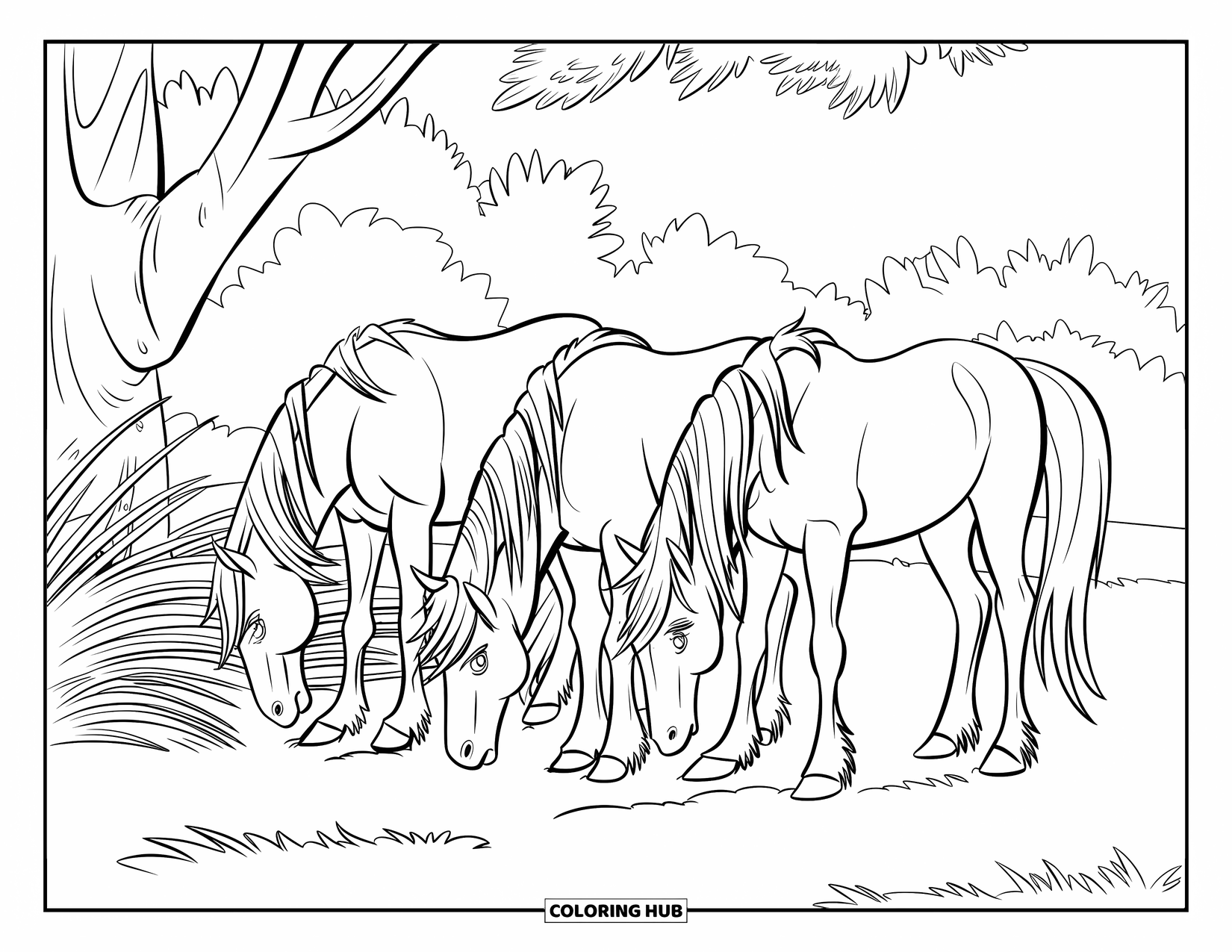 Wild Horse Coloring Page for Kids: Three horses with long manes graze near a few trees in a field