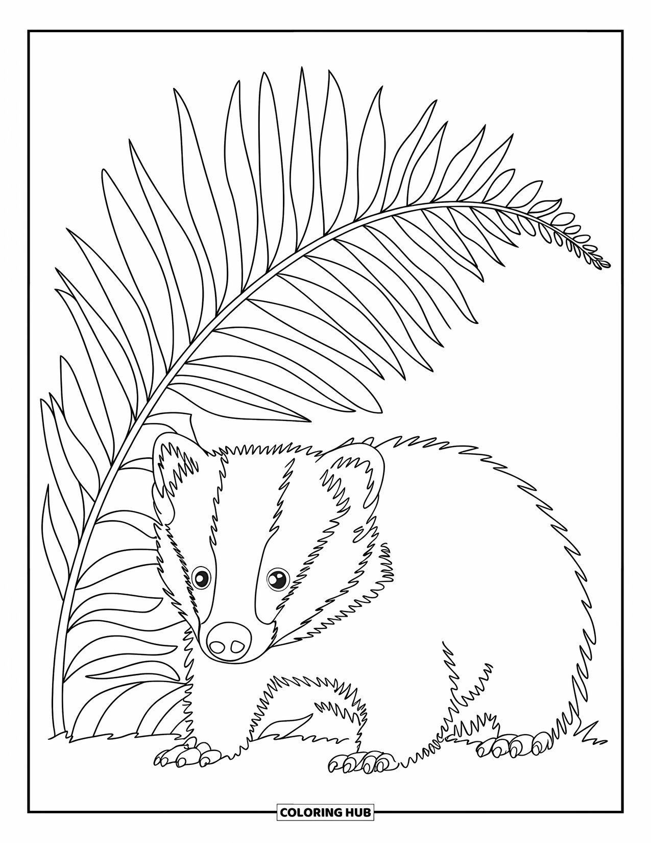 Woodland Animal Coloring Page for Kids: A badger hides under a fern, surrounded by simple lines and soft curves