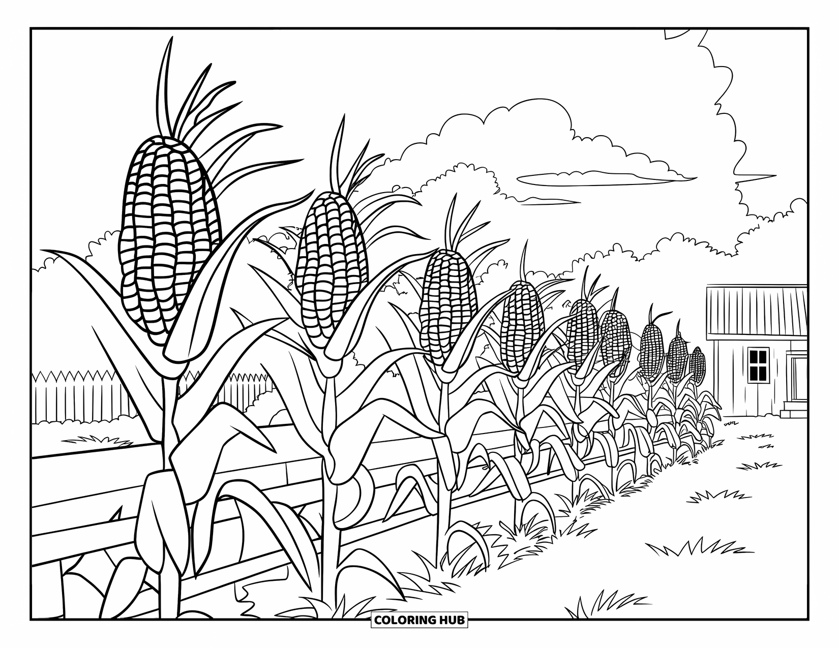 Yellow Coloring Page for Kids: Corn stalks grow beside a wooden fence near a house and fluffy clouds