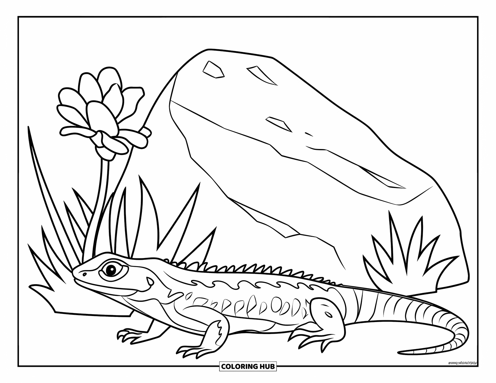 Arizona Coloring Page for Kids: A lizard crawls beside a cracked rock and flower