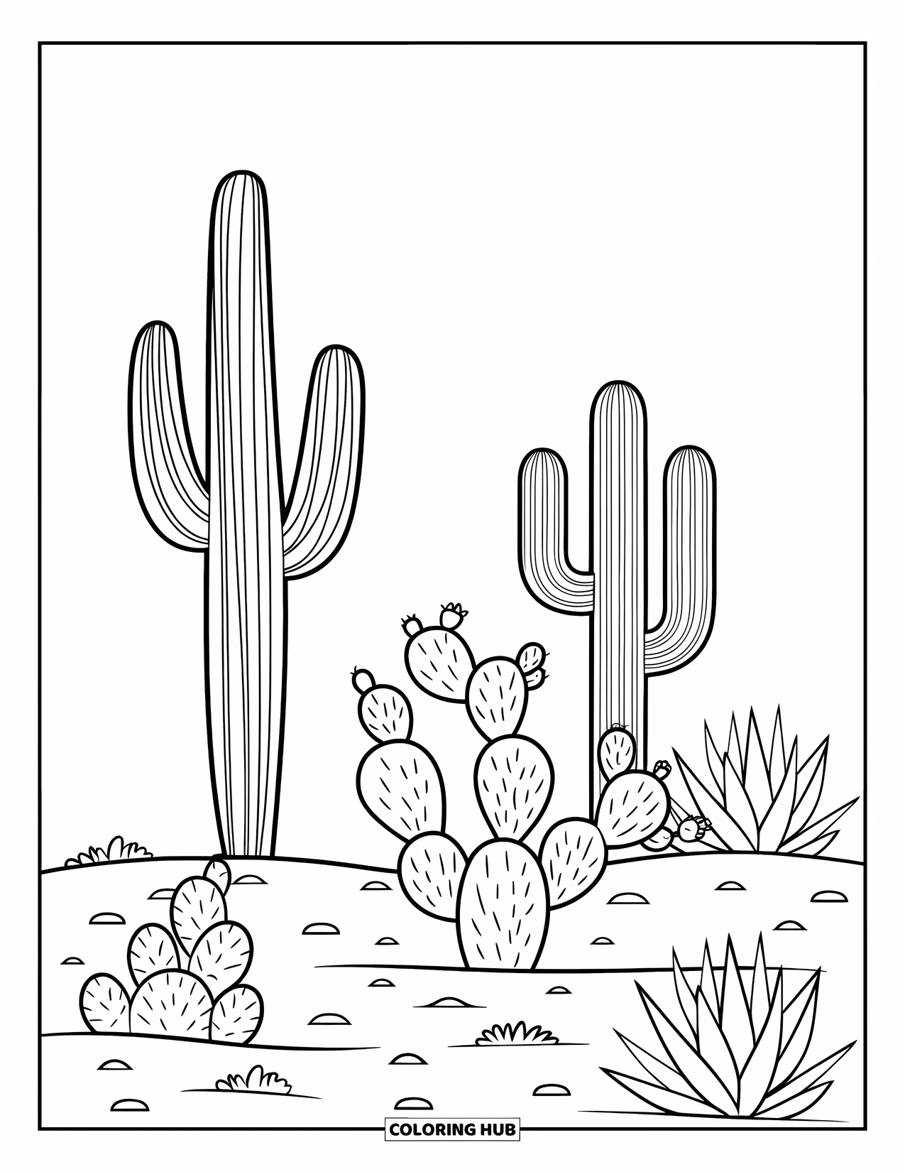 Arizona Coloring Page for Kids: Saguaros, prickly pear, and blooming agave fill the desert ground