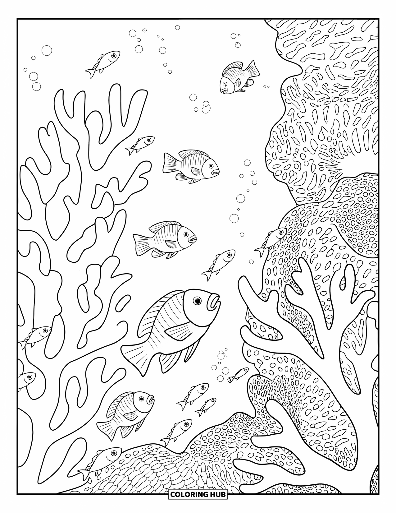 Australia Coloring Page for Adults: An underwater view of coral and fish in the Great Barrier Reef