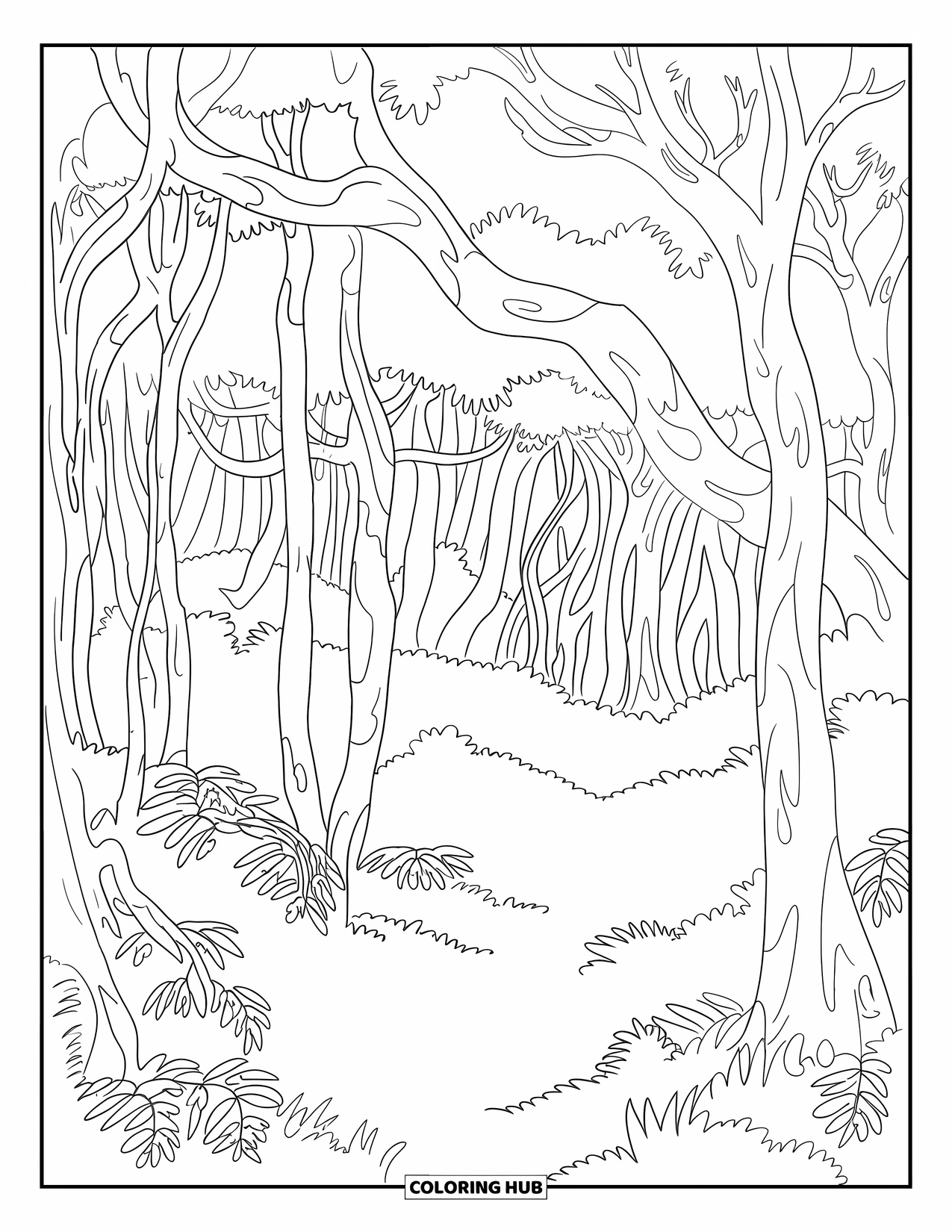 Australia Coloring Page for Adults: Intertwined rainforest trees with dense underbrush and fallen leaves