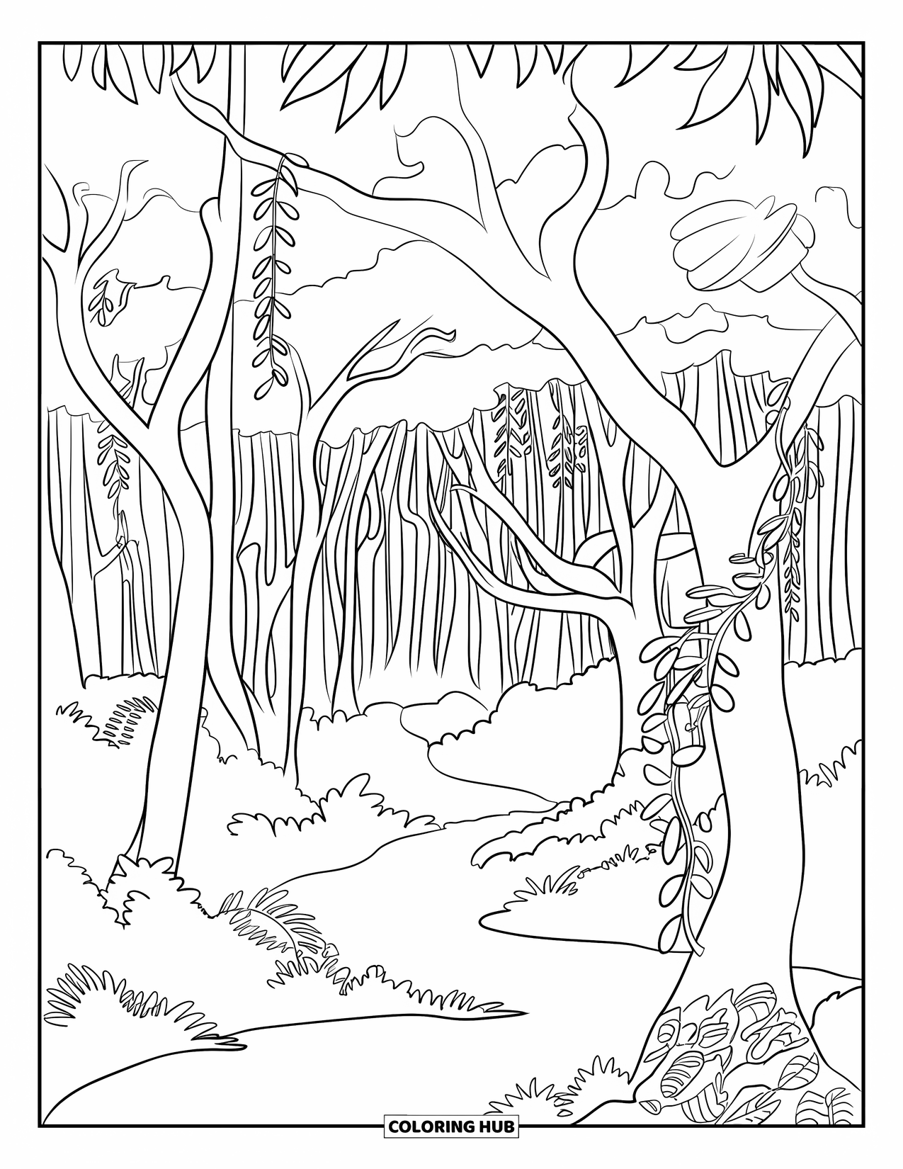 Australia Coloring Page for Adults: Path through the rainforest with vines, trees, and leafy ground