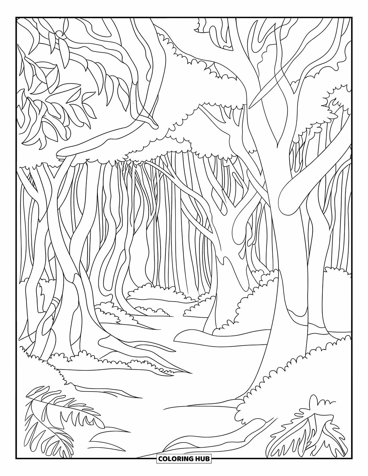 Australia Coloring Page for Adults: Rainforest scene with a canopy of trees and thick underbrush