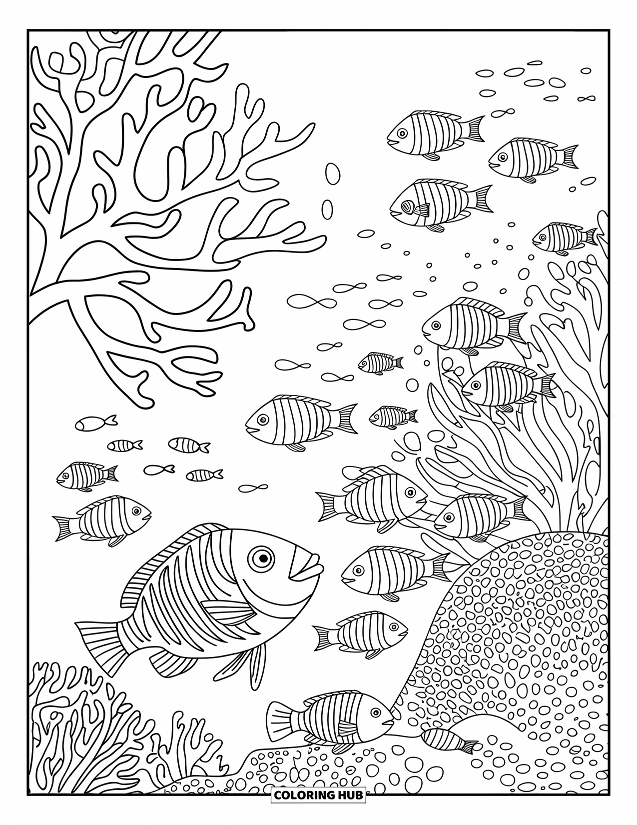 Australia Coloring Page for Adults: The Great Barrier Reef with coral branches and detailed fish