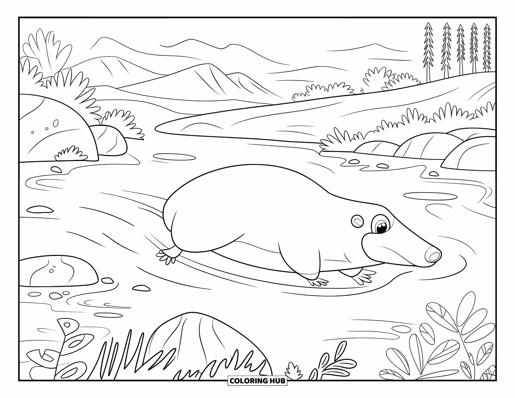 Australia Coloring Page for Kids: A platypus swims peacefully through a mountain river