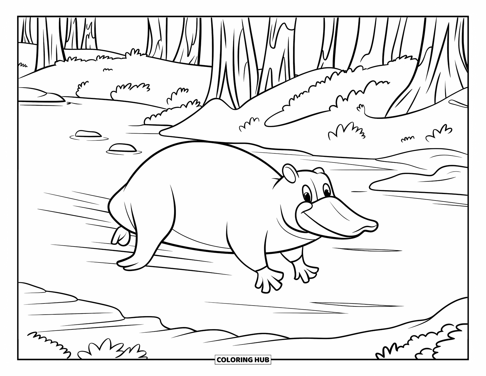 Australia Coloring Page for Kids: A wide platypus floats in the river with trees behind
