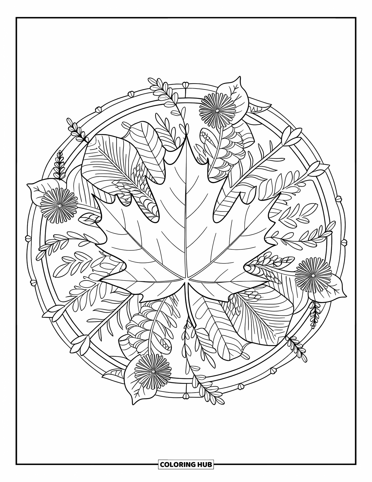 Autumn Leaves Coloring Page for Adults: Maple leaf at the heart of a mandala filled with vines and petals