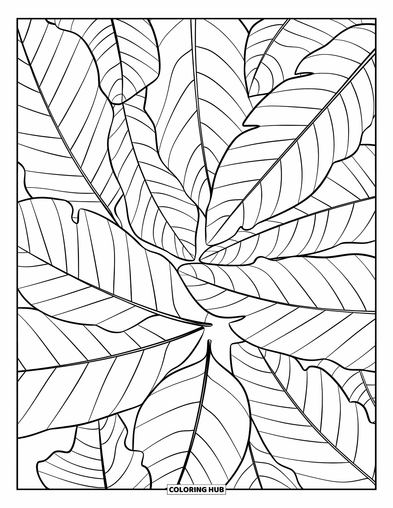 Autumn Leaves Coloring Page for Kids: Close-up circle of overlapping leaves with fine veins on a clean background