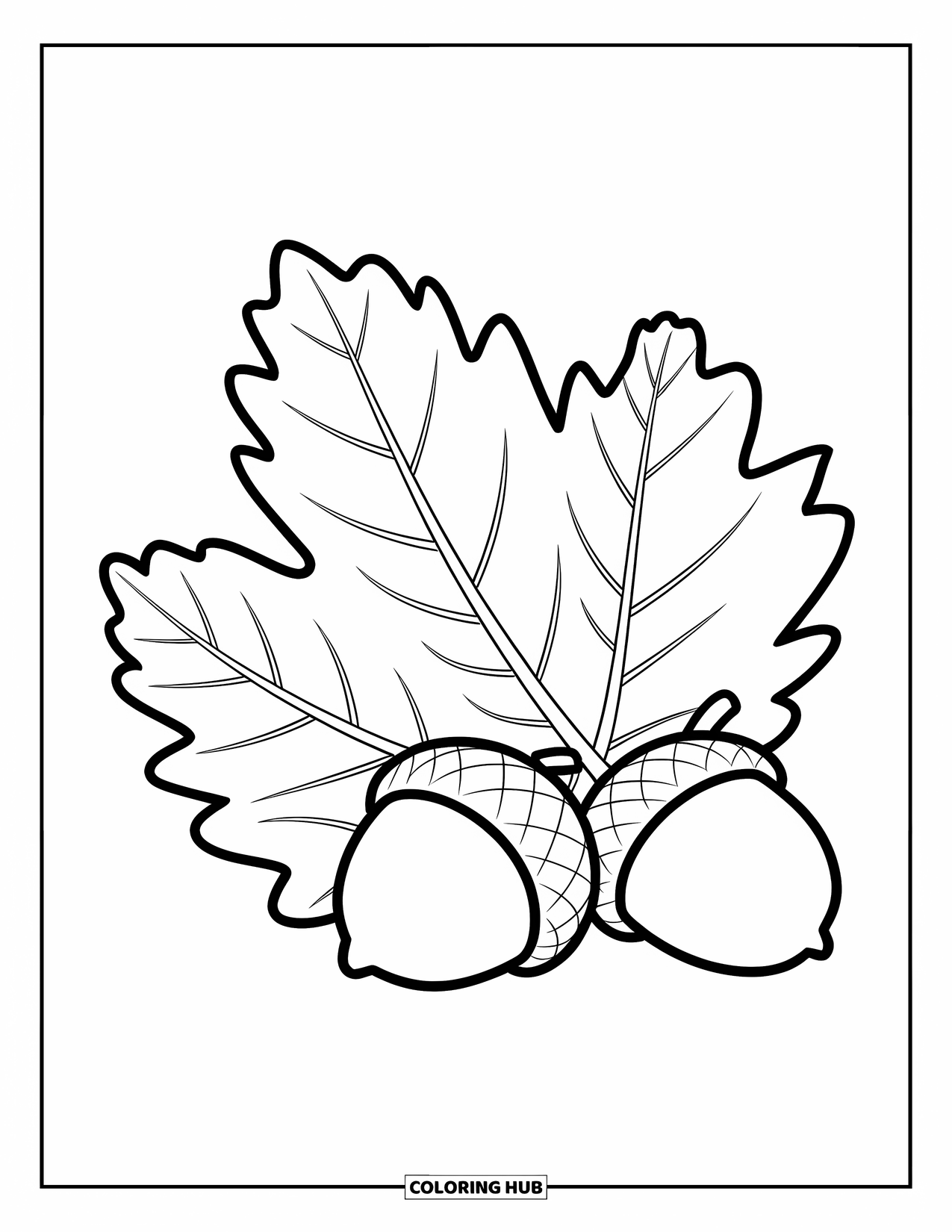 Autumn Leaves Coloring Page for Kids: Large chestnut leaf and two acorns sit simply on a blank background
