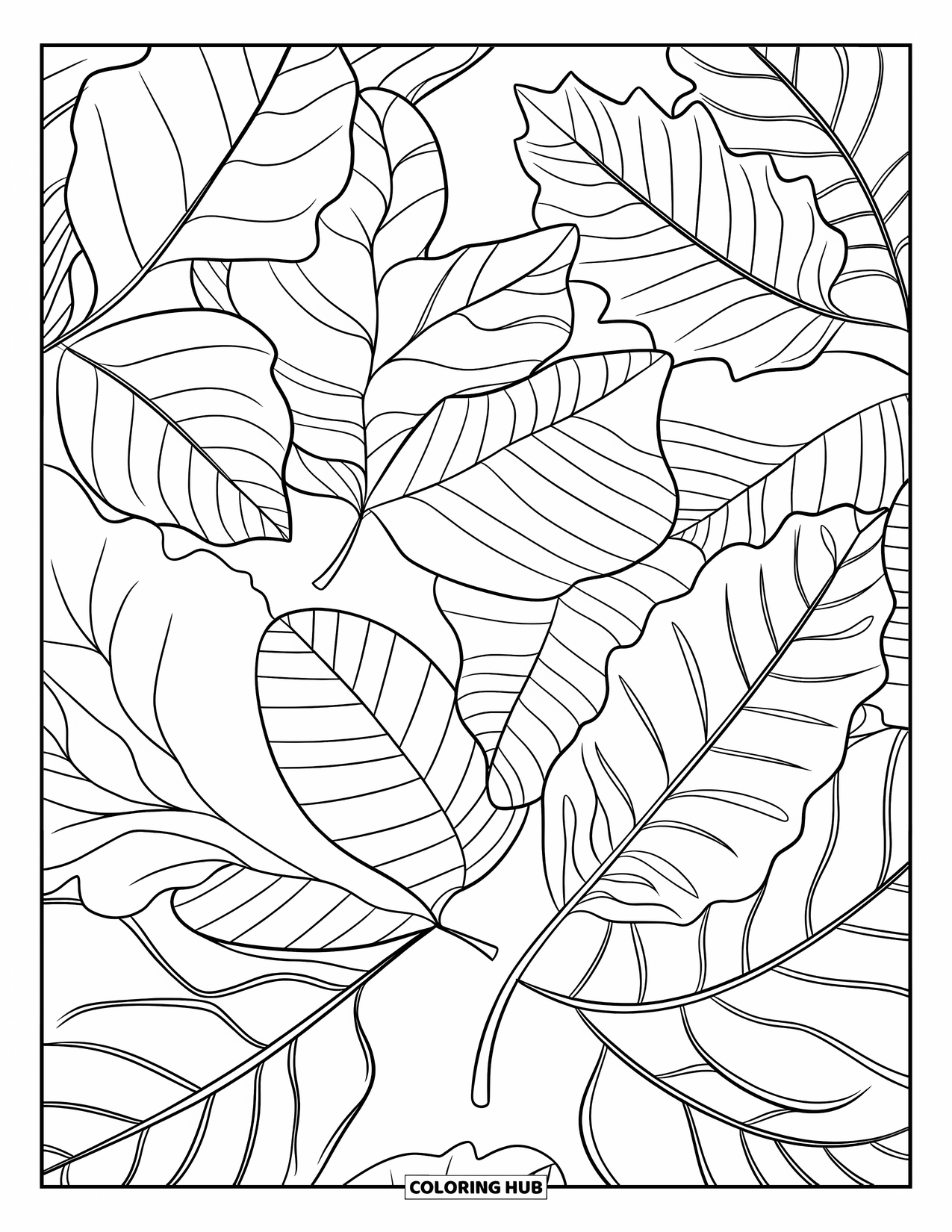 Autumn Leaves Coloring Page for Kids: Overlapping beech, chestnut, and elm leaves fill a soft, clean composition