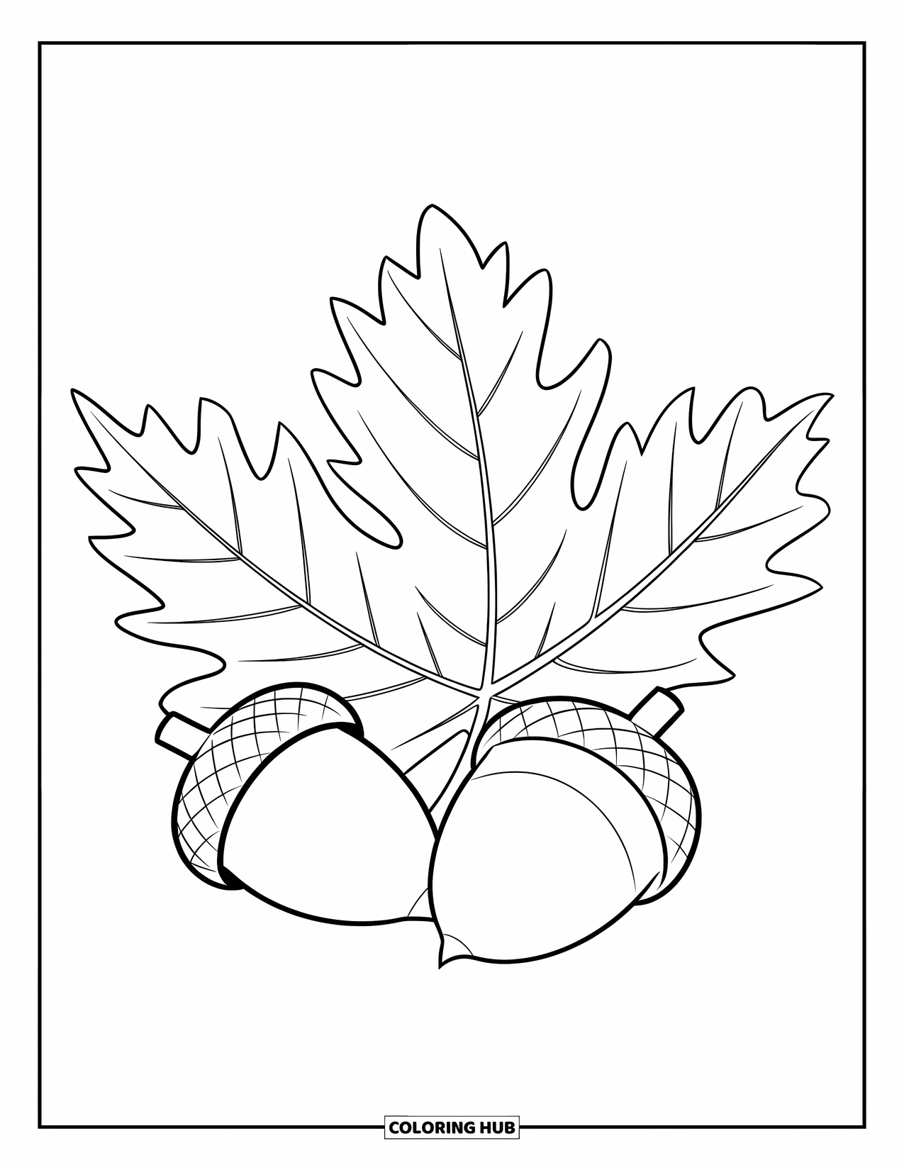 Autumn Leaves Coloring Page for Kids: Oversized chestnut leaf and acorns drawn in a fun, simple style
