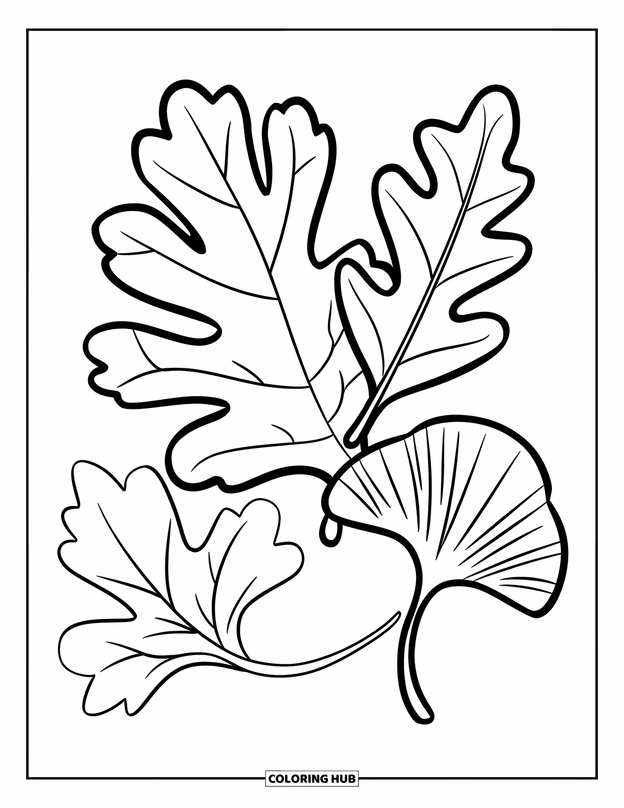 Autumn Leaves Coloring Page for Kids: Three big leaves-oak, birch, and ginkgo-each with bold, simple shapes