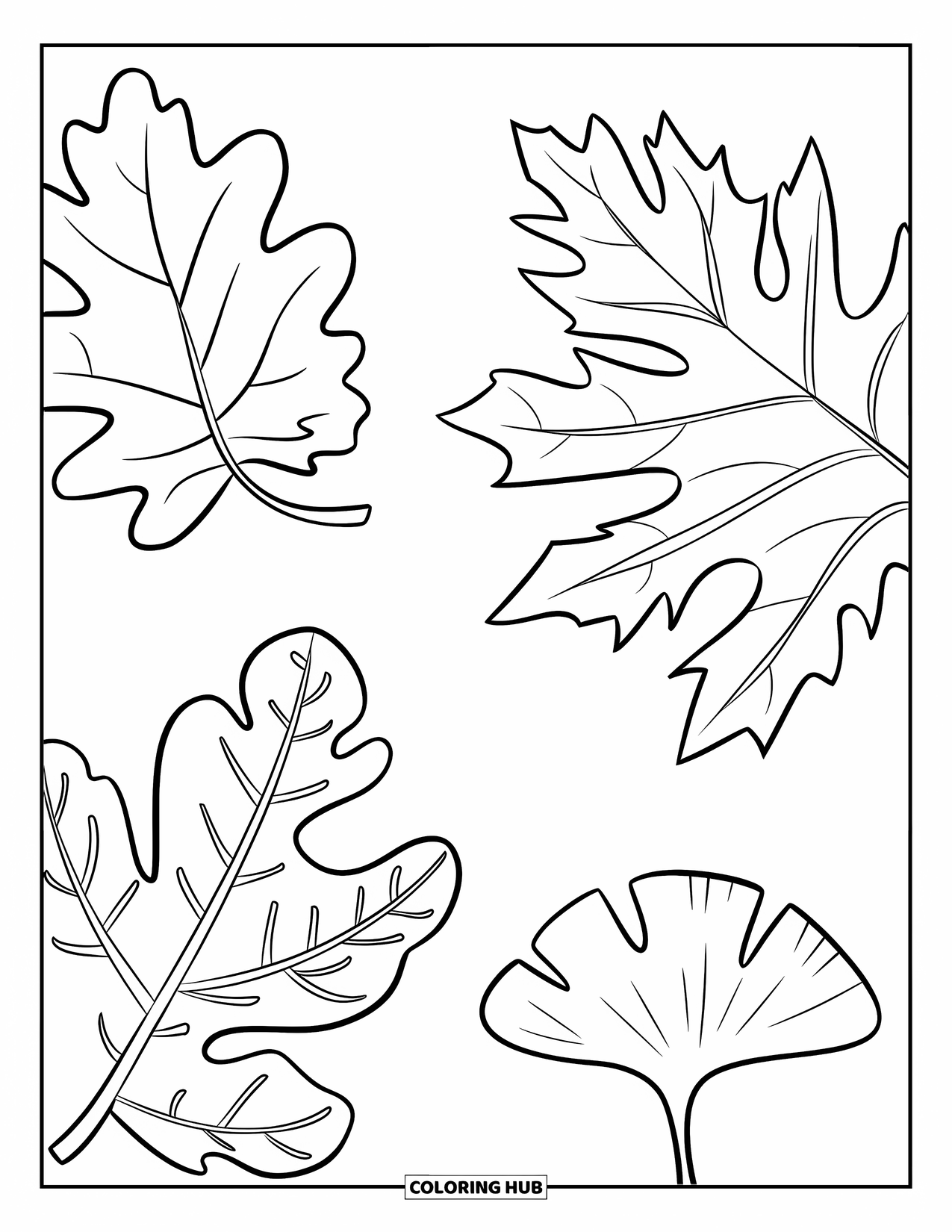 Autumn Leaves Coloring Page for Kids: Three bold leaves-oak, birch, and ginkgo-ready for coloring with cheerful shapes