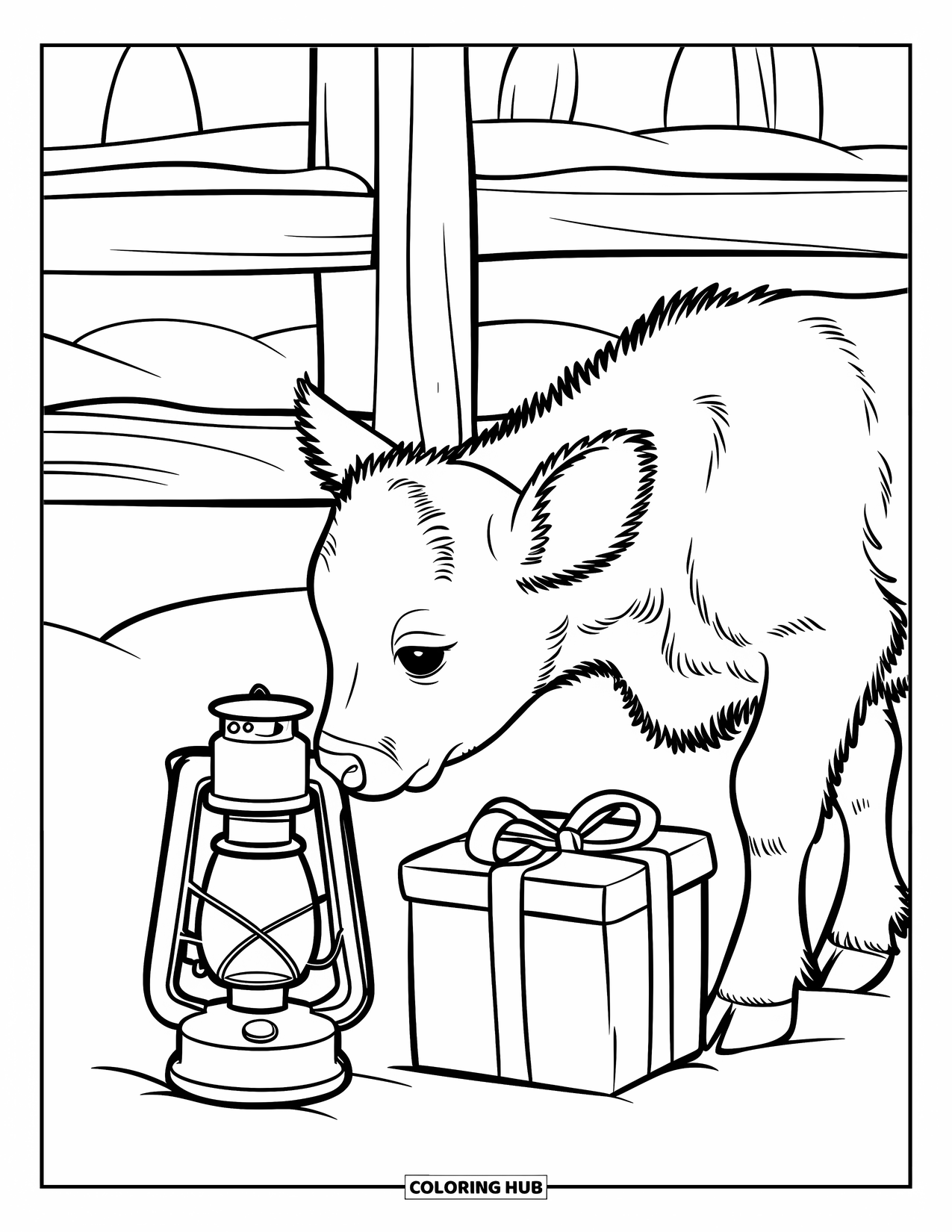 Christmas Cow Coloring Page for Kids: A baby cow sniffing a lantern and present near a snowy wooden fence