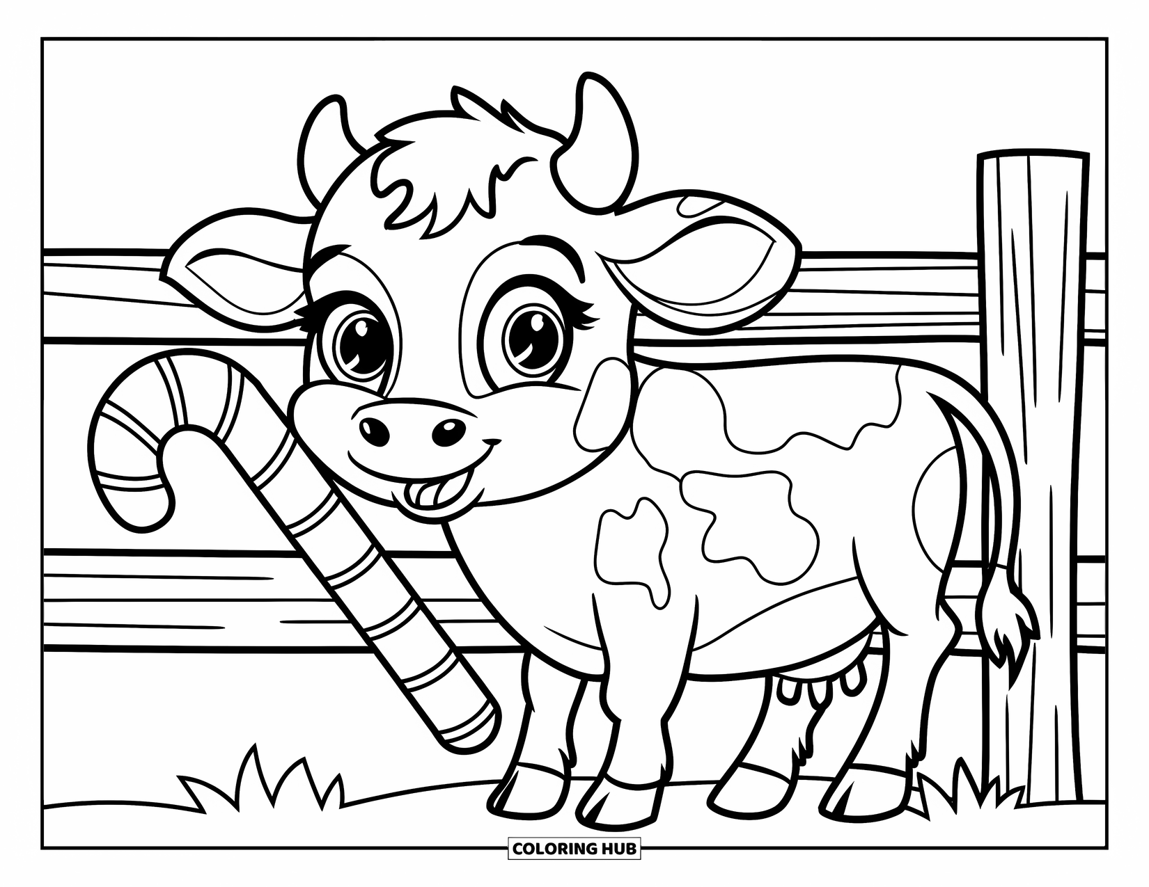 Christmas Cow Coloring Page for Kids: A baby cow with big eyes holding a candy cane by a fence
