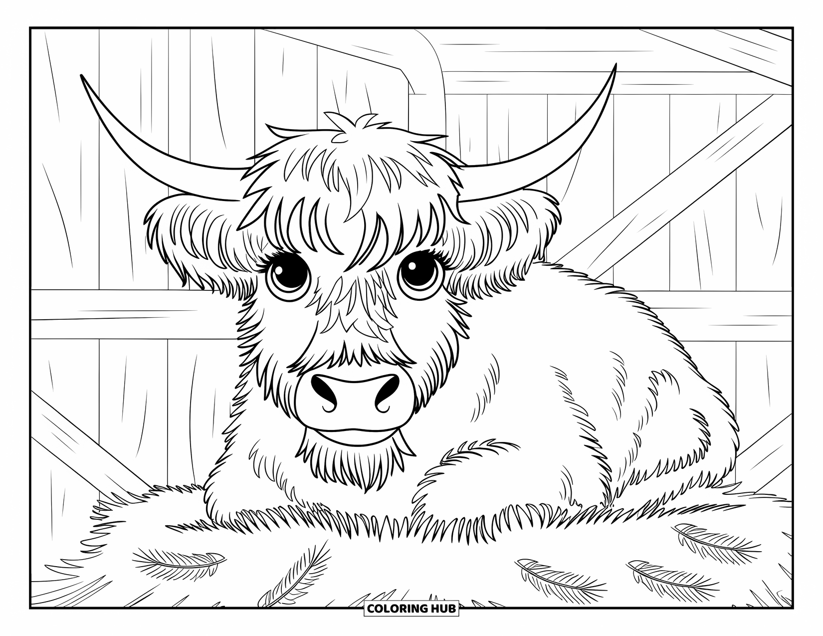 Christmas Cow Coloring Page for Kids: A highland cow lying on hay surrounded by pine sprigs in a barn