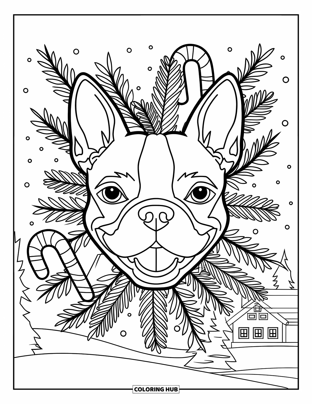 Christmas Dog Coloring Page for Adults: A Boston Terrier face framed by pine and candy canes in a snowy scene