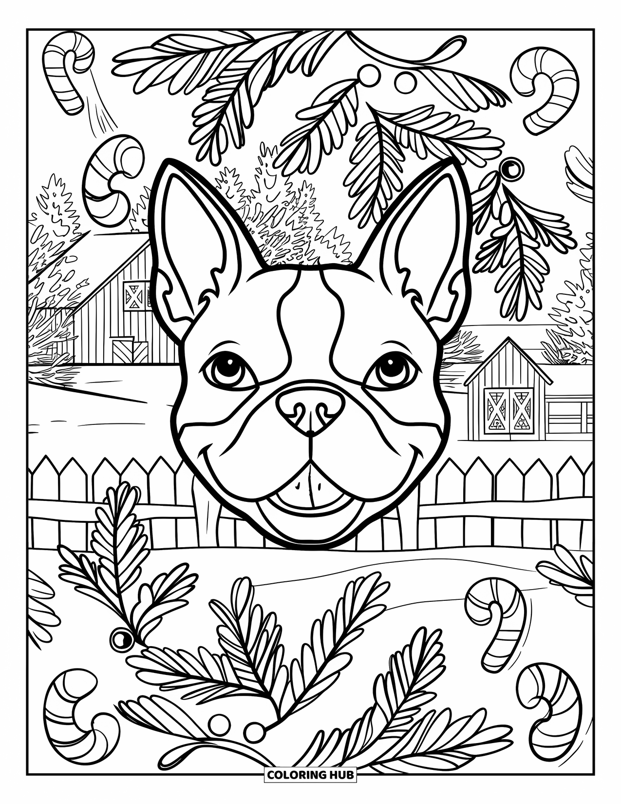 Christmas Dog Coloring Page for Adults: A Boston Terrier face surrounded by pine, candy canes, and a red barn