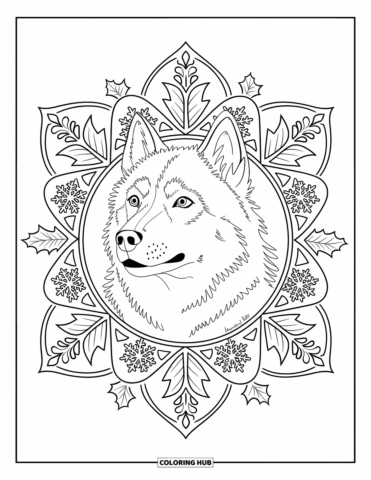 Christmas Dog Coloring Page for Adults: A Husky face framed by snowflake and holly mandala with a border