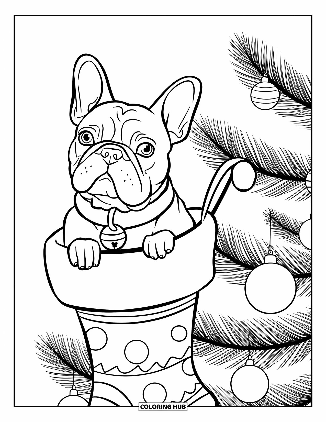 Christmas Dog Coloring Page for Kids: A French Bulldog rests inside a stocking on a decorated tree