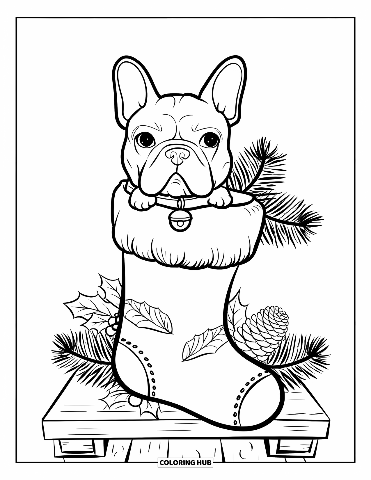 Christmas Dog Coloring Page for Kids: A French Bulldog sits in a stocking with pinecones and holly nearby