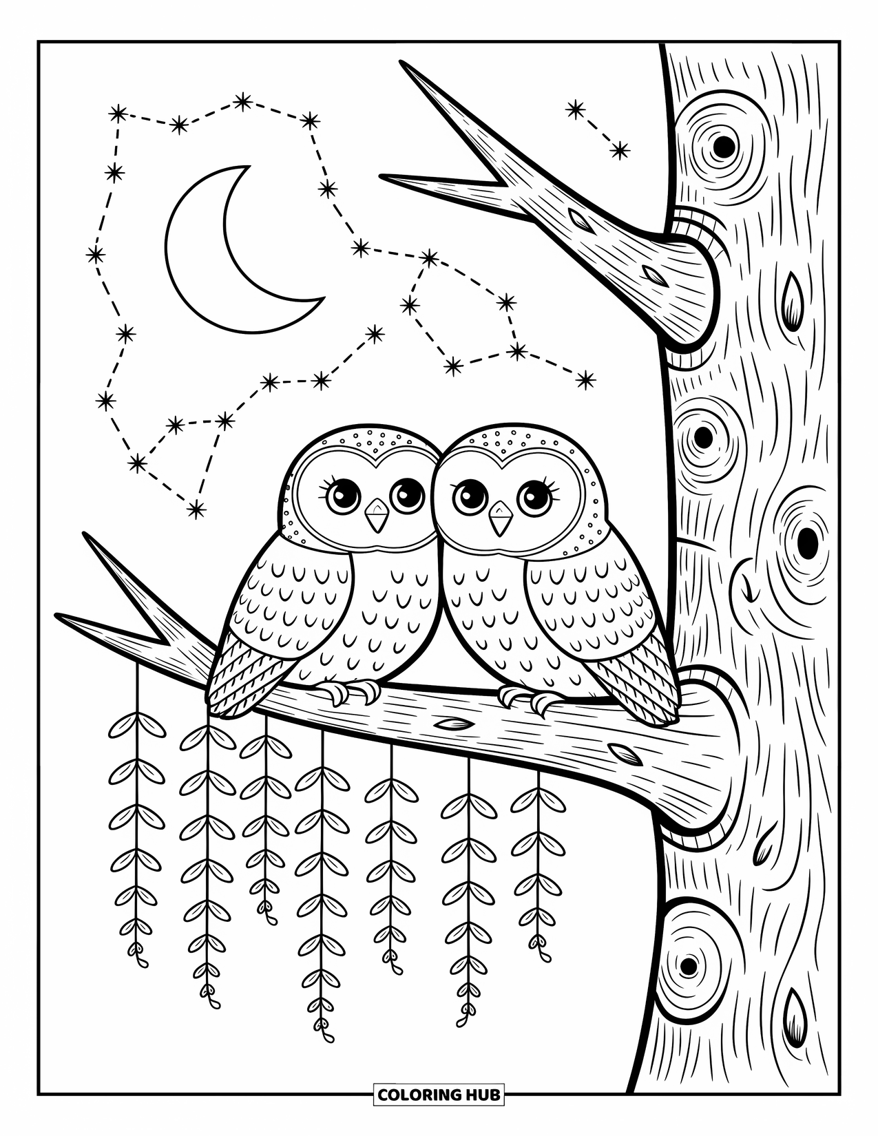 Fall Animal Coloring Page for Adults: Two owls rest on a sturdy branch with twinkling stars and falling leaves