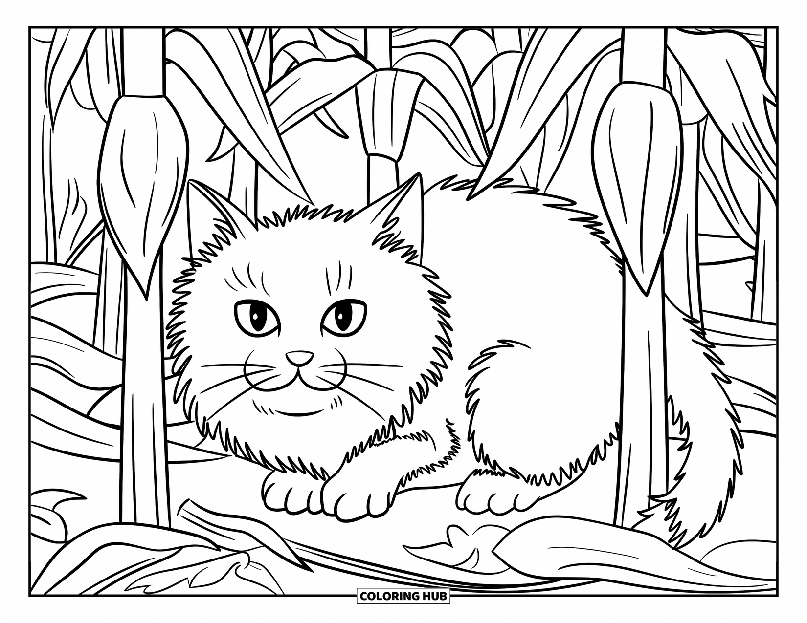 Fall Cat Coloring Page for Kids: A thick-furred cat crouches behind tall corn stalks and fallen leaves in a cornfield