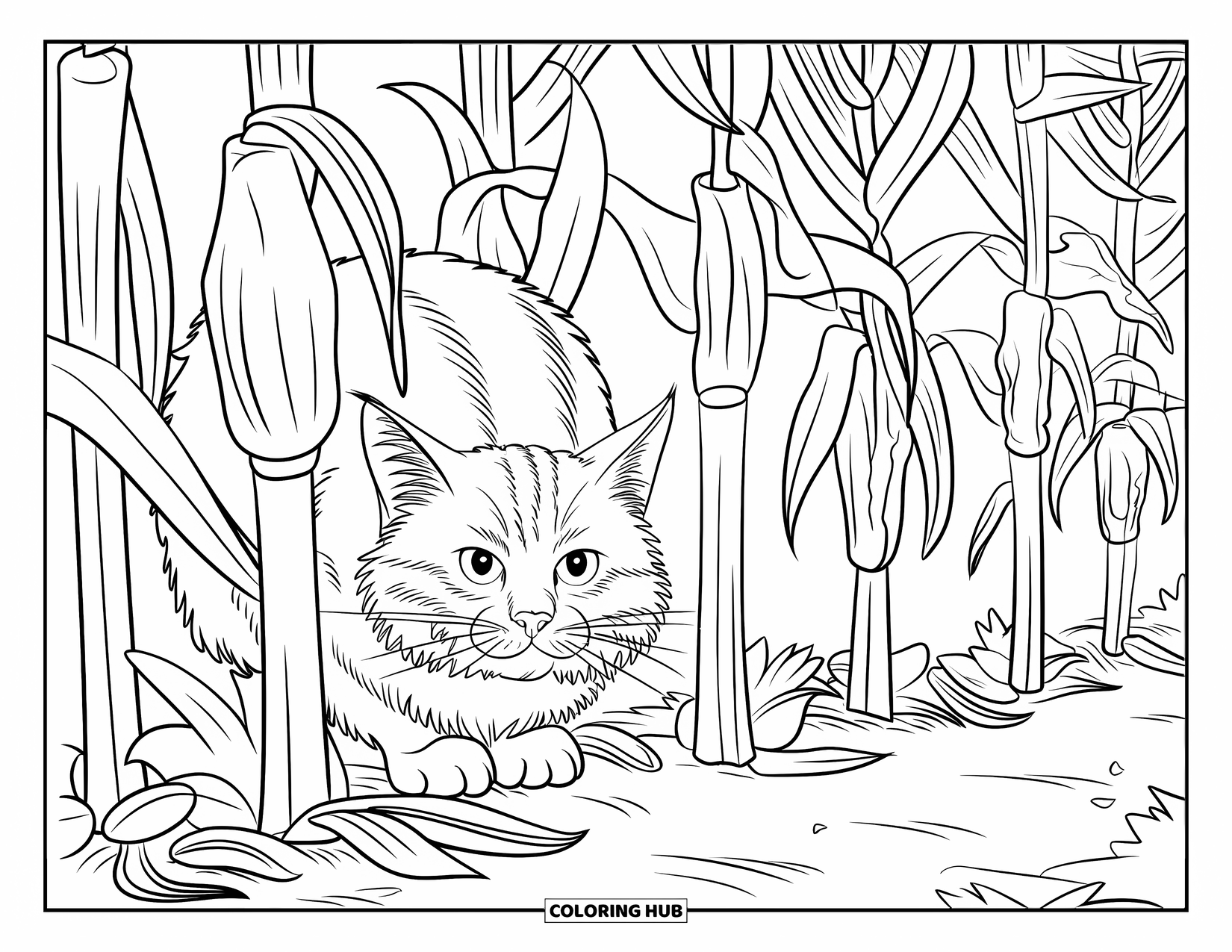 Fall Cat Coloring Page for Kids: A thick-furred cat crouches low among corn stalks and scattered autumn leaves