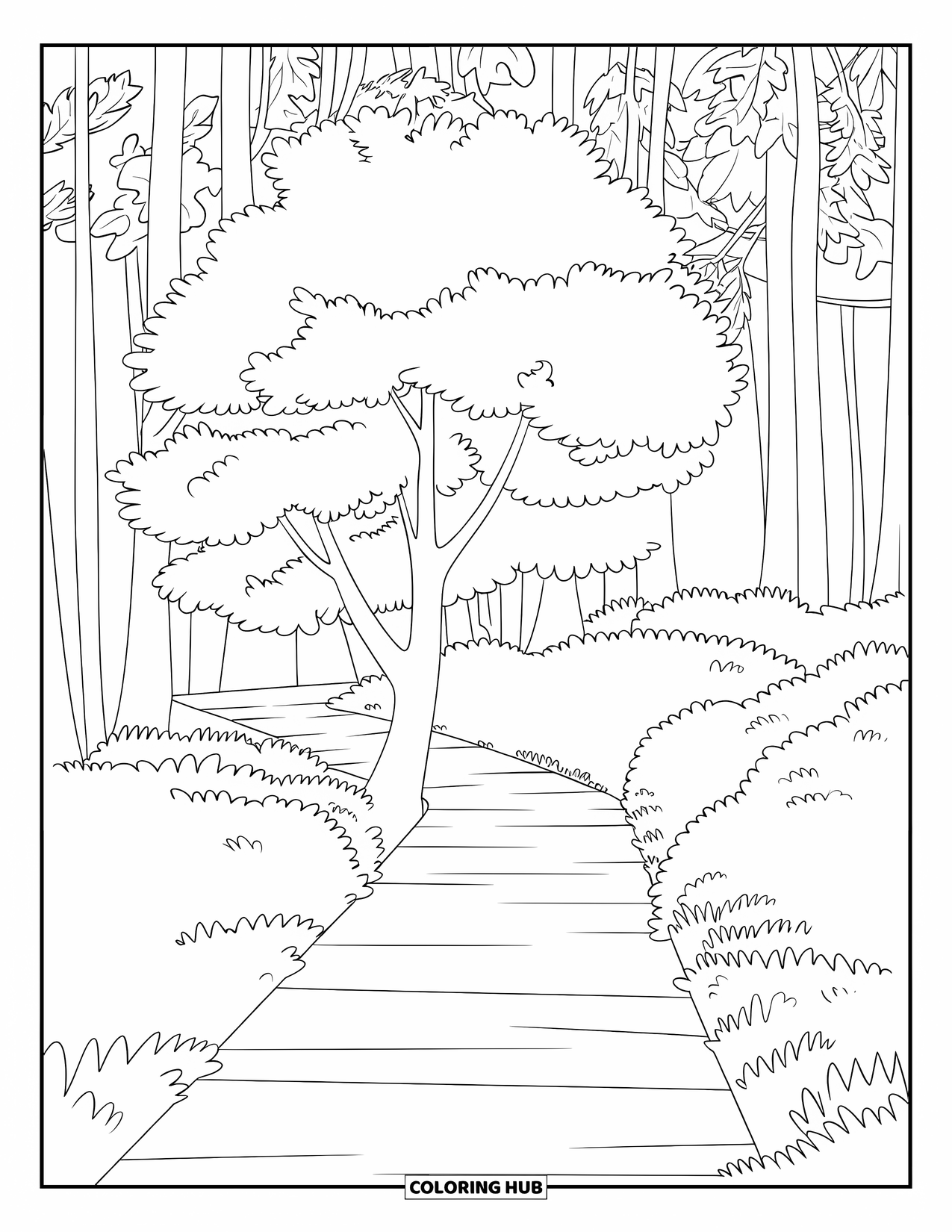 Fall Tree Coloring Page for Kids: Fall tree near a forest path with wooden steps and tall trees