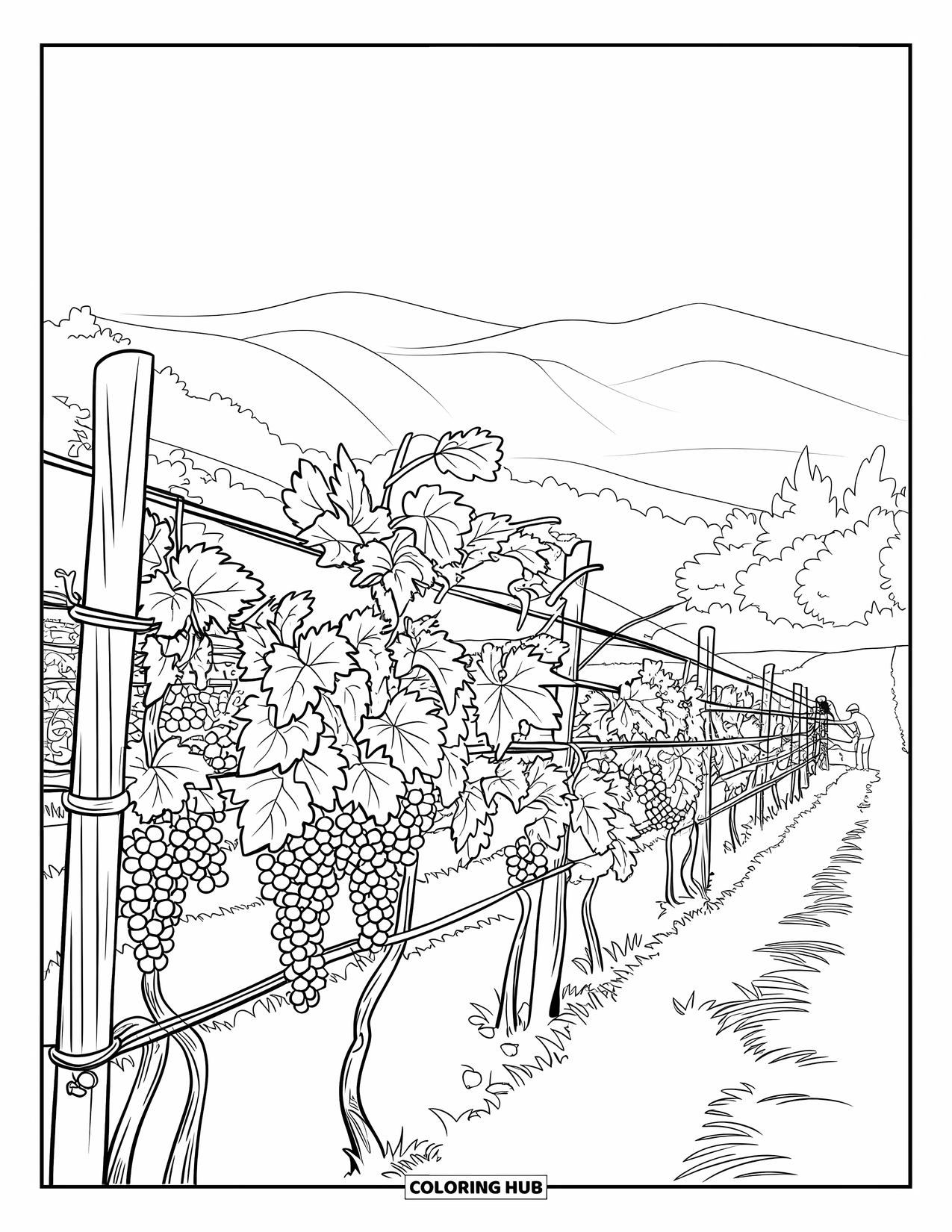 Farmer Coloring Page for Adults: A vineyard with grapevines, rolling hills, and a farmer tending vines