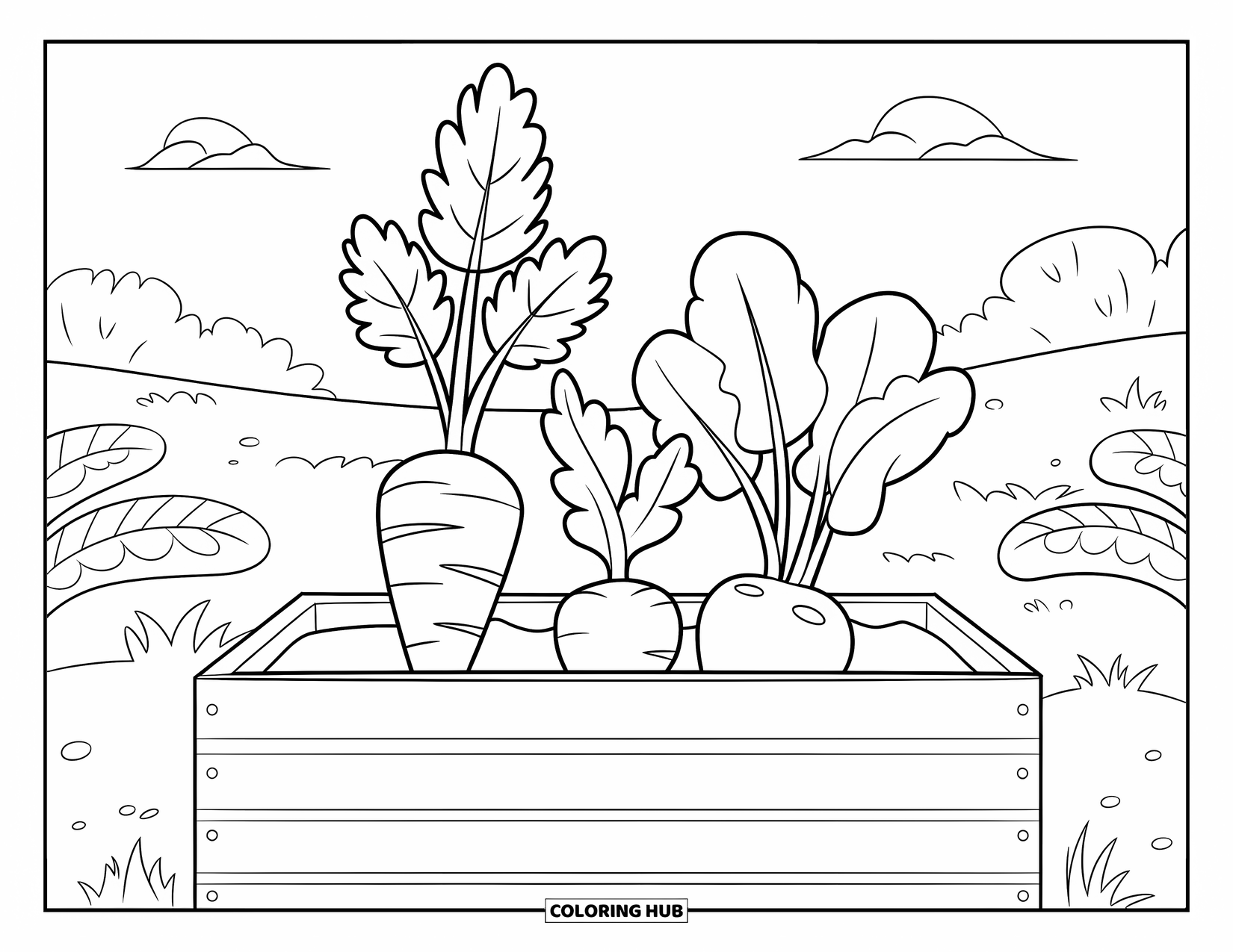 Gardening Coloring Page for Kids: Garden bed holding a carrot, radish, and beet in a field
